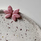 **Blush & Pearl** (19)