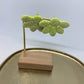 Oorbellen "Fluo - geel / Beige 4"